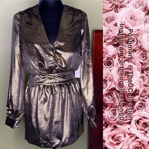 Frame Metallic Dress Sz 0